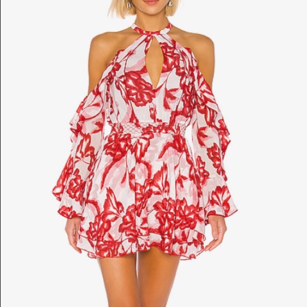 x REVOLVE harmony dress